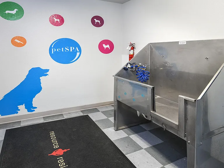 Save on costly groomers, the pet spa has everything you need to leave your pup fresh and clean.