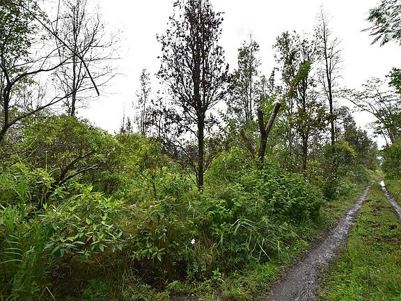 3rd image of King Kamehameha Blvd Lot 16