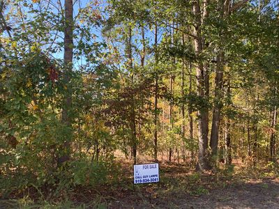 15 Tori Vic Ct, Angier, NC, 27501