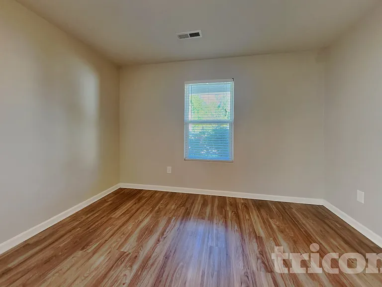 4217 Piedmont Farms Way — Photo 16