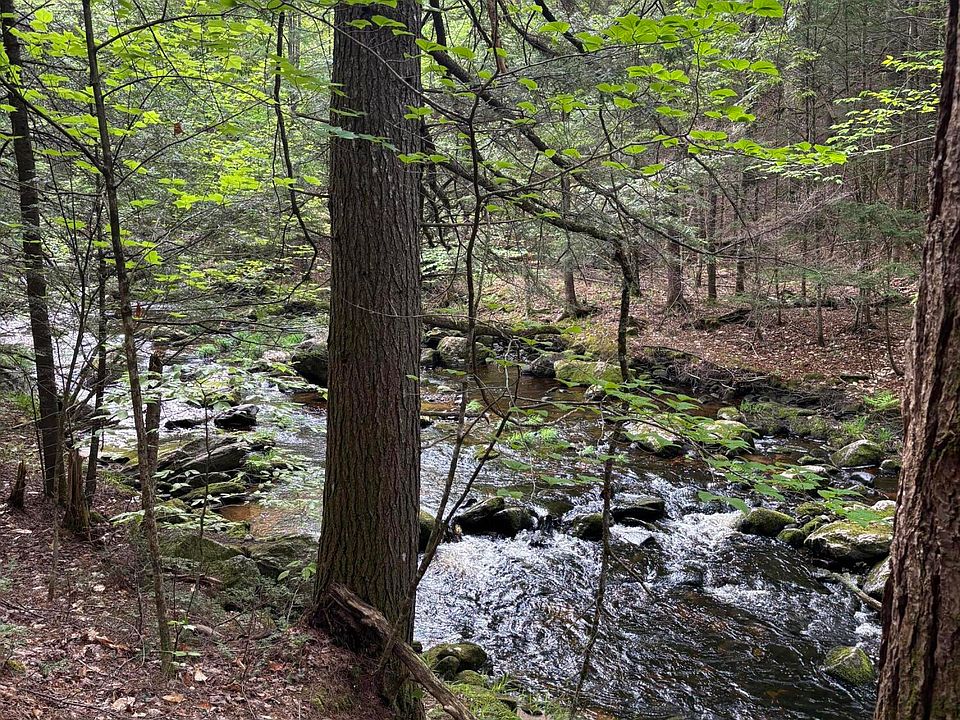 1st image of 5 Bog Brook Loop