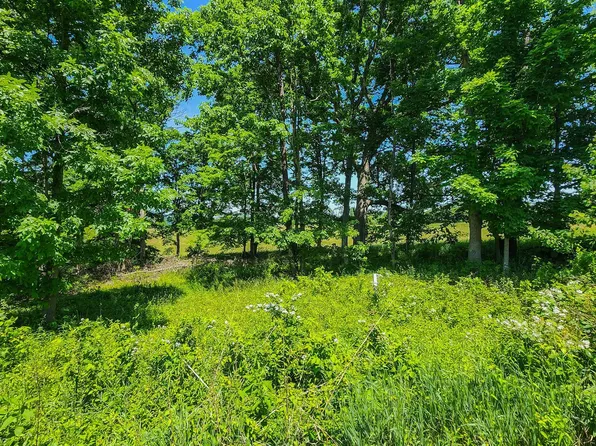 31 Magnolia Ct, Ridgeley, WV 26753