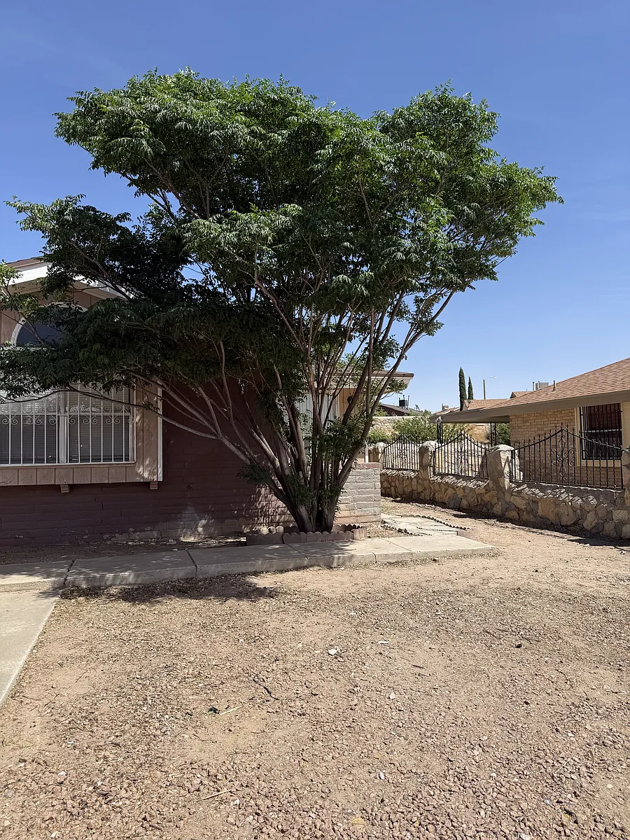 Building Photo - 1524 Greg Powers Dr #1-A