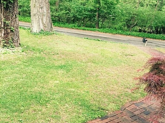 Front yard view facing creek