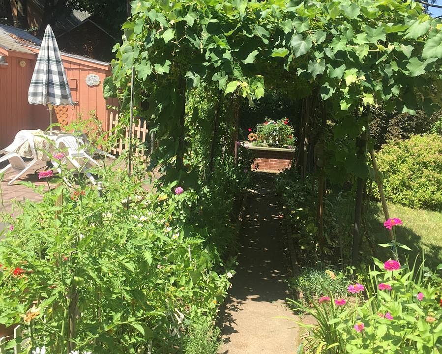 Garden in yard