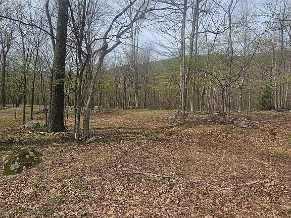 4th image of Goldenseal Rd Lot 46