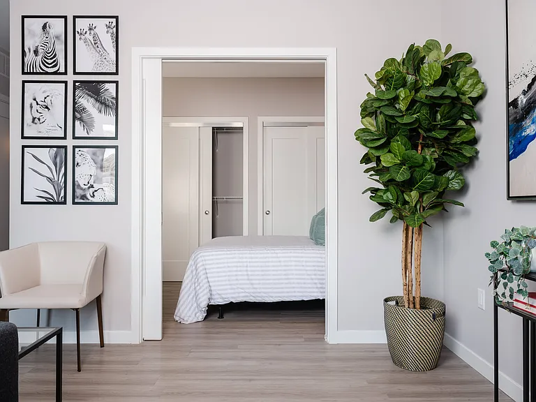 Junior 1-Bedroom