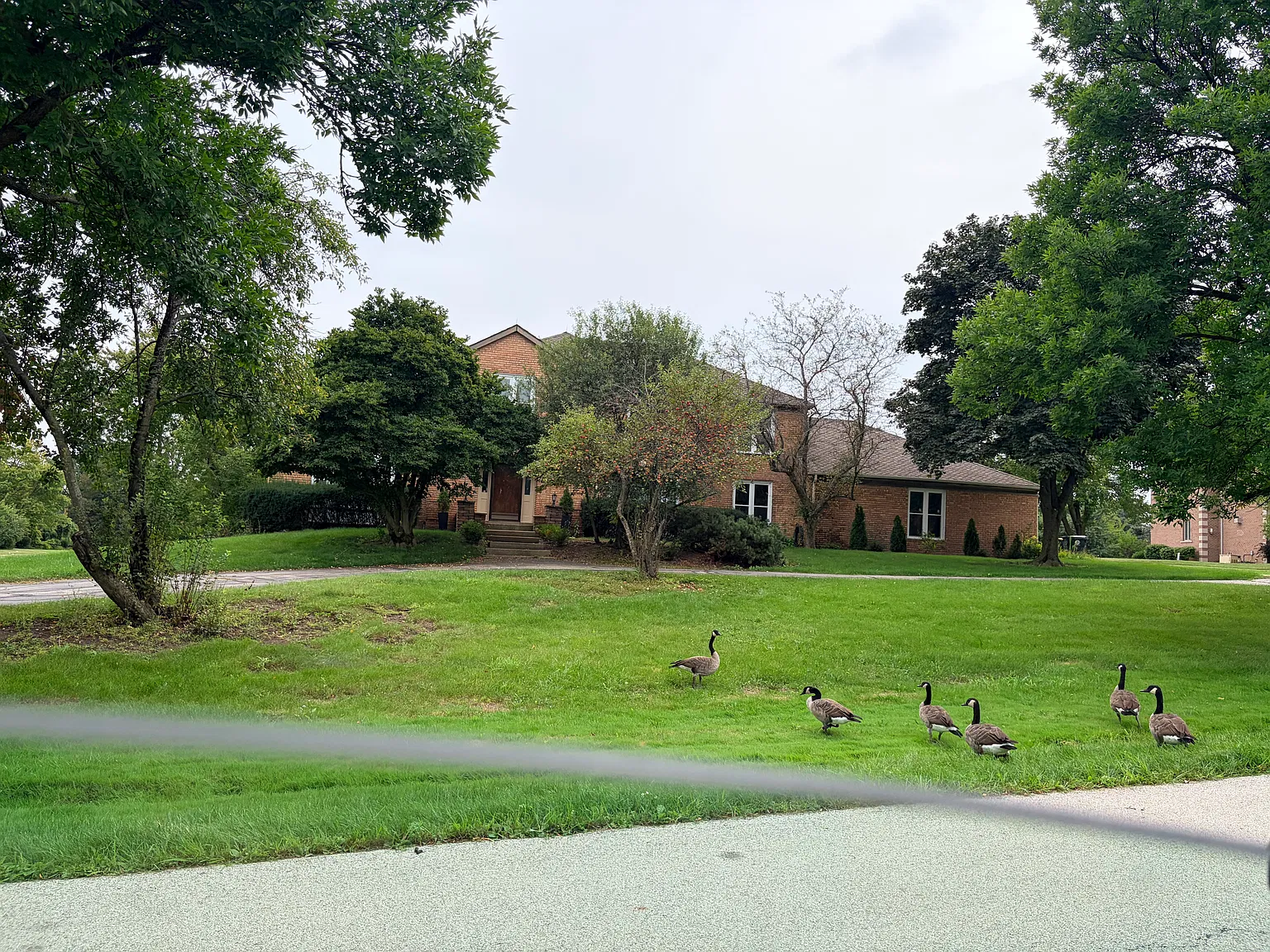 5 bed, 5481 sqft, $7,000 — Photo 1