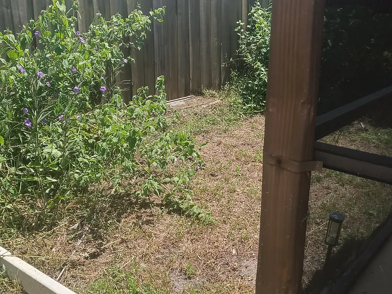 Saddlecreek Dr — Photo 4