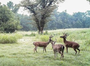 Greasy Bottom Rd, Melbourne, AR 72556