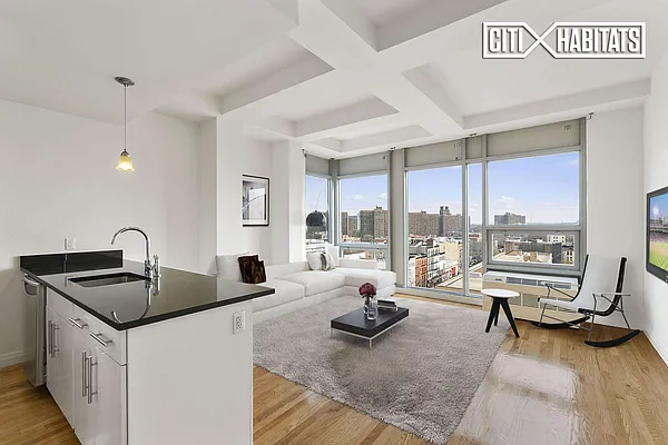 Rented by Citi Habitats | media 38