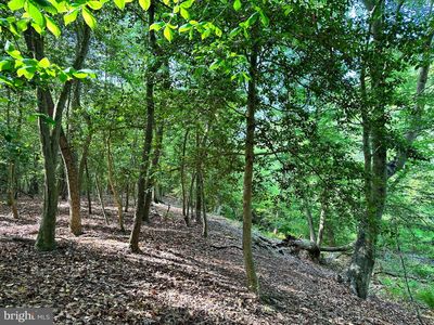 Back Landing Rd, Preston, MD, 21655