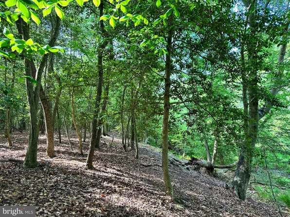 Back Landing Rd, Preston, MD 21655