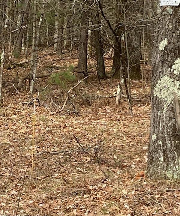 2nd image of 4152 E Creek Wood Dr