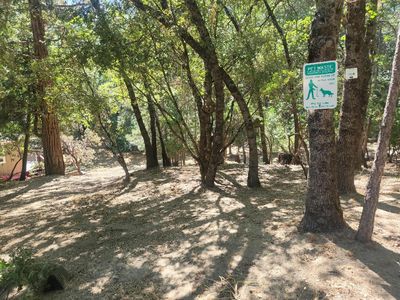 54682 Blue Gill, Bass Lake, CA, 93604