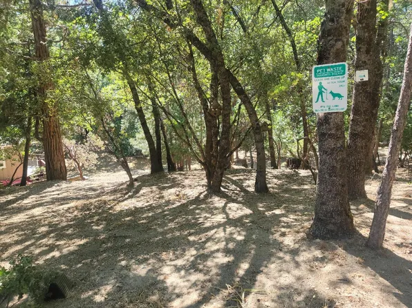 54682 Blue Gill, Bass Lake, CA 93604