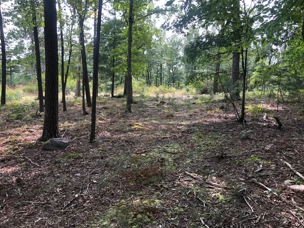 0 Ridge Loop #17, Luray, VA 22835