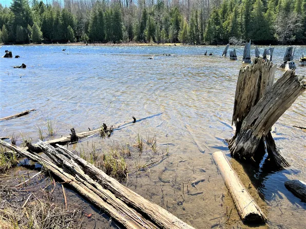 Off River Edge Dr Parcel 8, Cheboygan, MI 49721