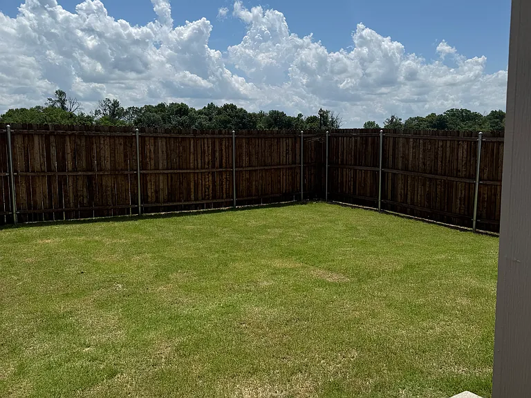 Back yard: Door View