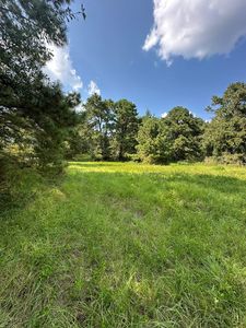 0 County Road 3331, Brundidge, AL, 36010