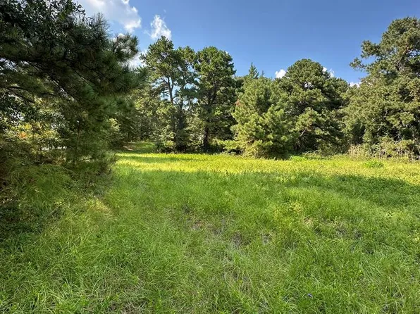 0 County Road 3331, Brundidge, AL 36010