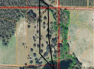 8804 Misty Morning Trl, Odessa, FL 33556