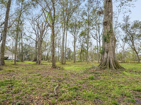 4th image of Maranatha Acres Lot 13