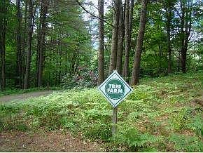 Stewradship of the Land