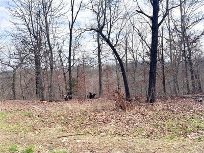 Buckland Ln #10, Bella Vista, AR, 72715