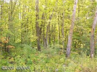 Bluffs Rd NW, Alexandria, MN 56308