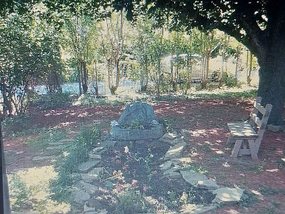 Front yard garden