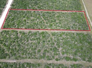 7441 Corrigan Ranch Rd #24, Skidmore, TX 78389