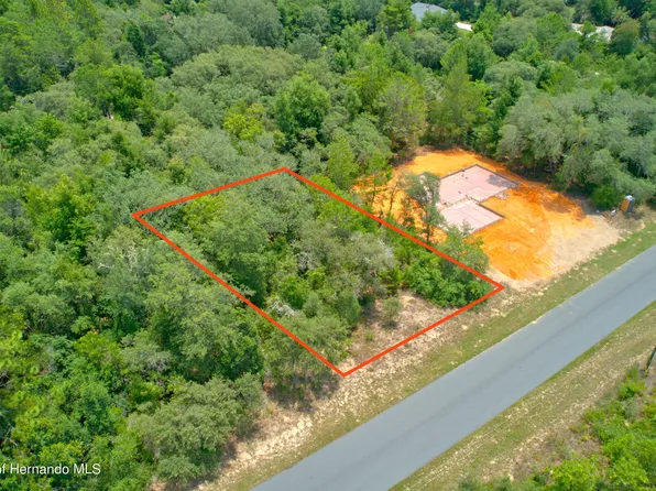 3145 W Hamlet Pl, Citrus Springs, FL 34433