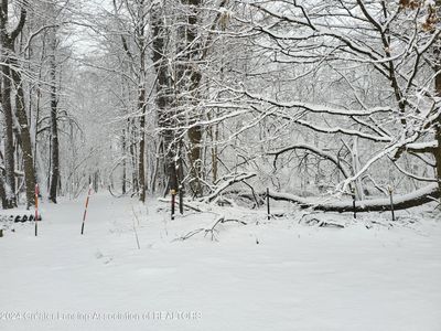 725 N Gordon St, Marshall, MI, 49068