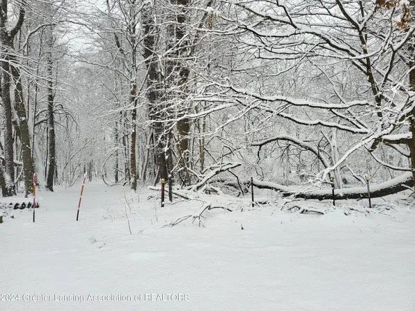 725 N Gordon St, Marshall, MI 49068