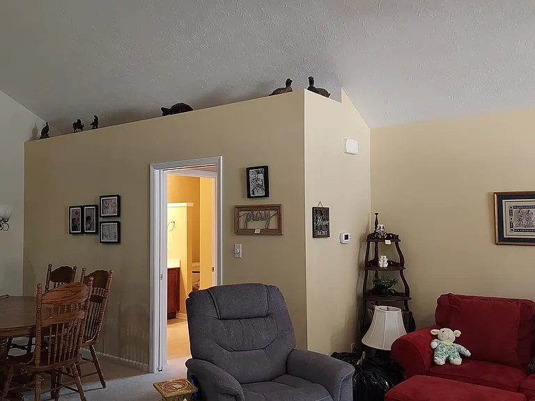 16929 Maple Springs Way — Photo 6