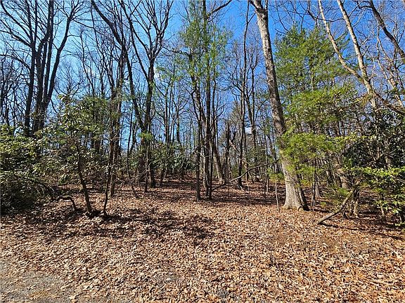 4th image of Mount Retreat Rd Lot 21