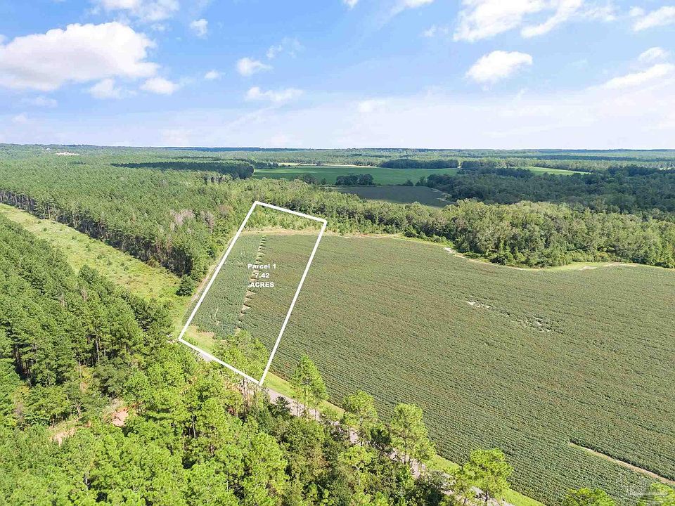 2nd image of PARCEL 1 Mineral Springs Rd