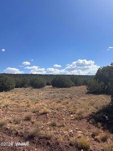 343 & 344 County Road 8295, Concho, AZ, 85924