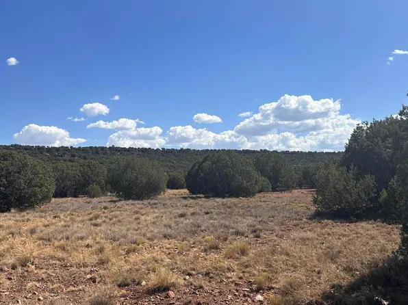 343 & 344 County Road 8295, Concho, AZ 85924
