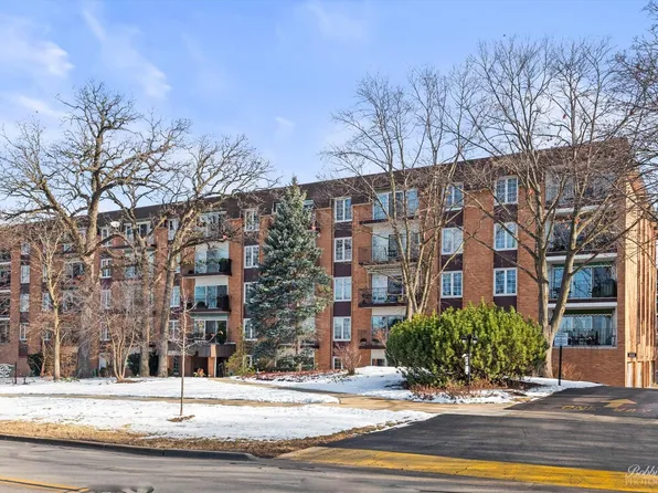 441 N Park Blvd APT 1M, Glen Ellyn, IL 60137