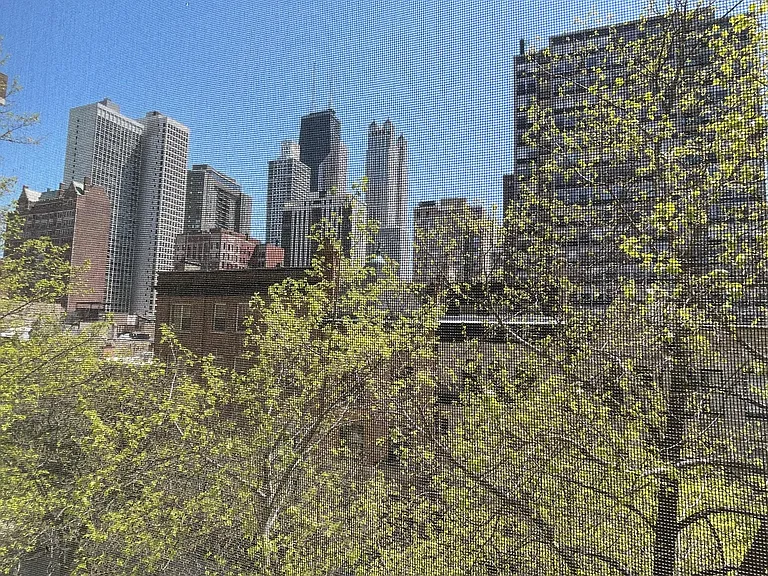 30 E Division St #4C — Photo 9