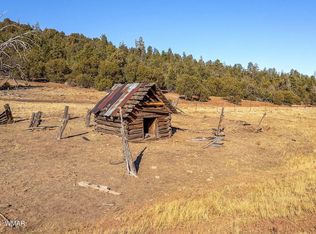 3537 Forest Service Rd, Overgaard, AZ 85933