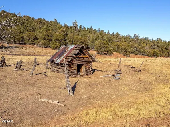 3537 Forest Service Rd, Overgaard, AZ 85933