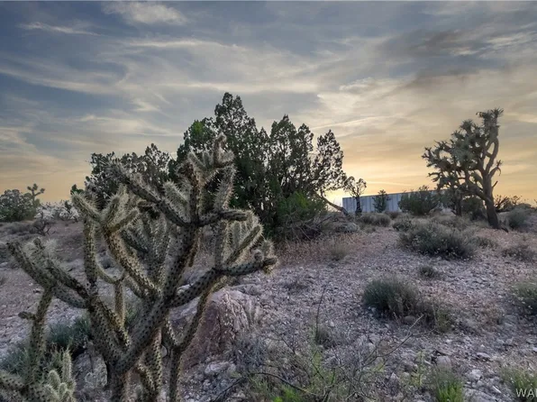 13 S Well Rd, Yucca, AZ 86438