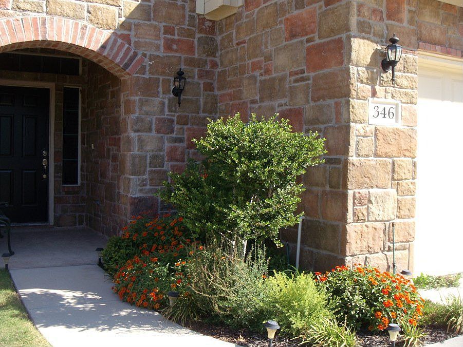 Front Garden & Walkway