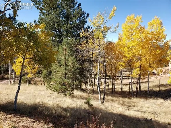 175 Paint Pony Ln, Florissant, CO 80816