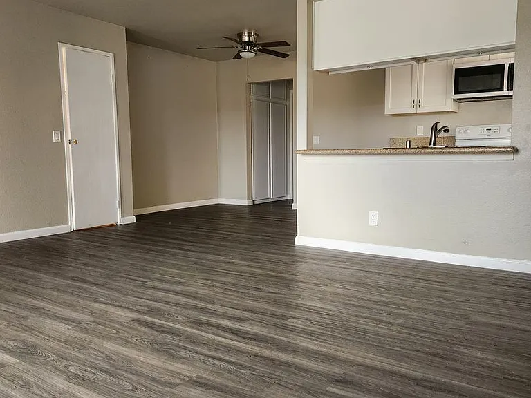 31932 Del Cielo Este — Photo 22