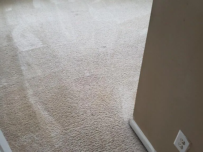 6369 Ellenwood Dr — Photo 3