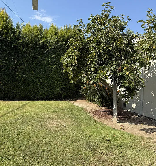 153 S Gramercy Pl — Photo 6